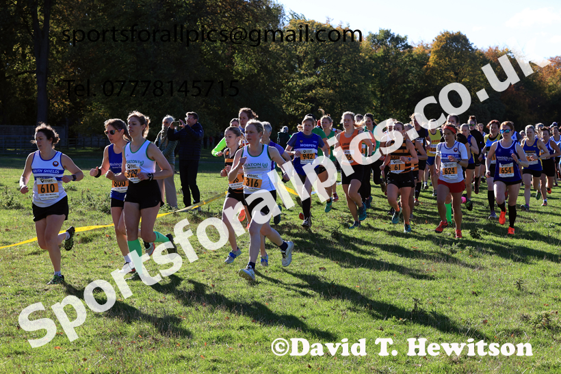 Senior Womens 2025 Start Fitness NEHL, Lambton, County Durham. Photo: David T. Hewitson/Sports for All Pics